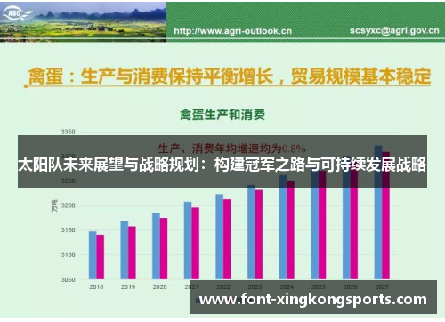 太阳队未来展望与战略规划：构建冠军之路与可持续发展战略