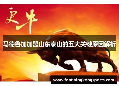 马德鲁加加盟山东泰山的五大关键原因解析