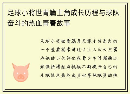 足球小将世青篇主角成长历程与球队奋斗的热血青春故事