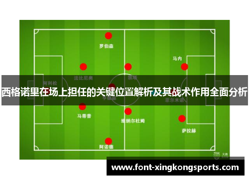 西格诺里在场上担任的关键位置解析及其战术作用全面分析
