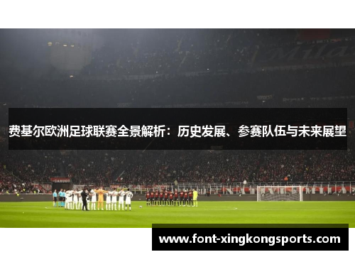 费基尔欧洲足球联赛全景解析：历史发展、参赛队伍与未来展望